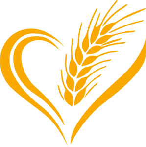 Münzel Schulungs App